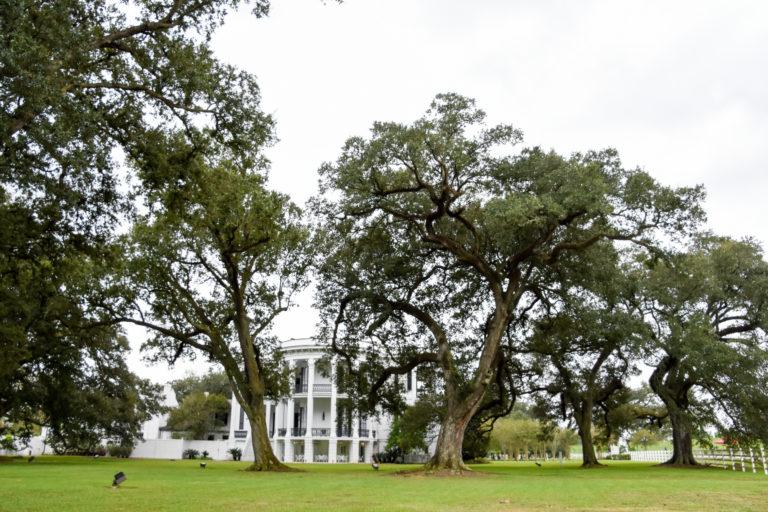 HSU Mississippi Cruise big house